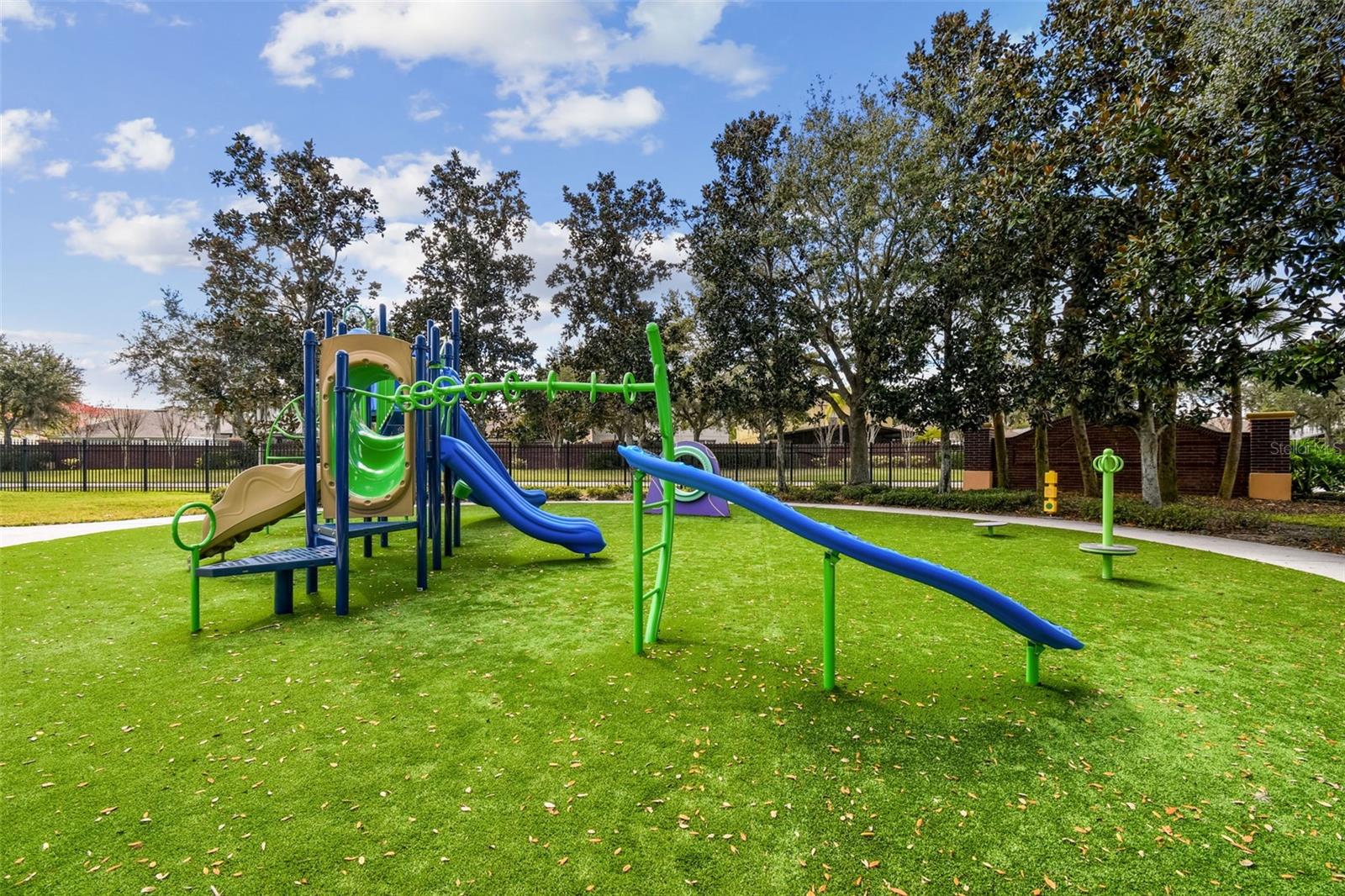 32323 Fish Hook Loop Property Photo 73