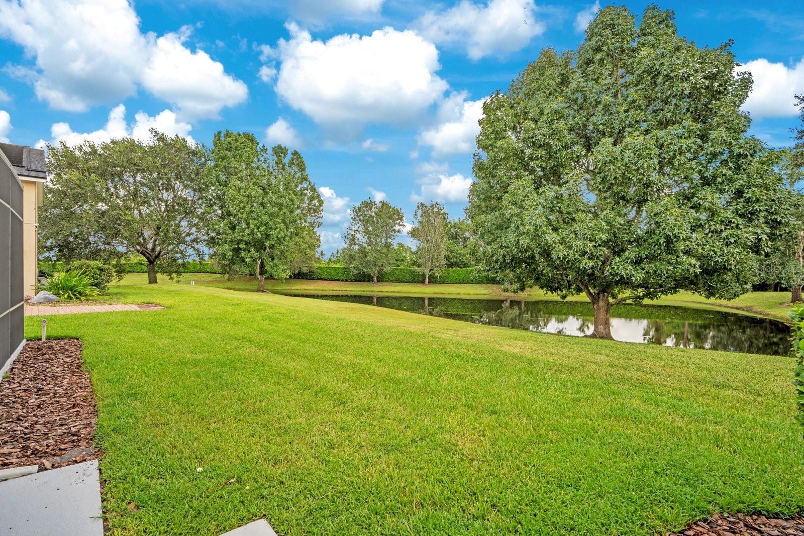 9589 Pine Lily St Property Photo 80