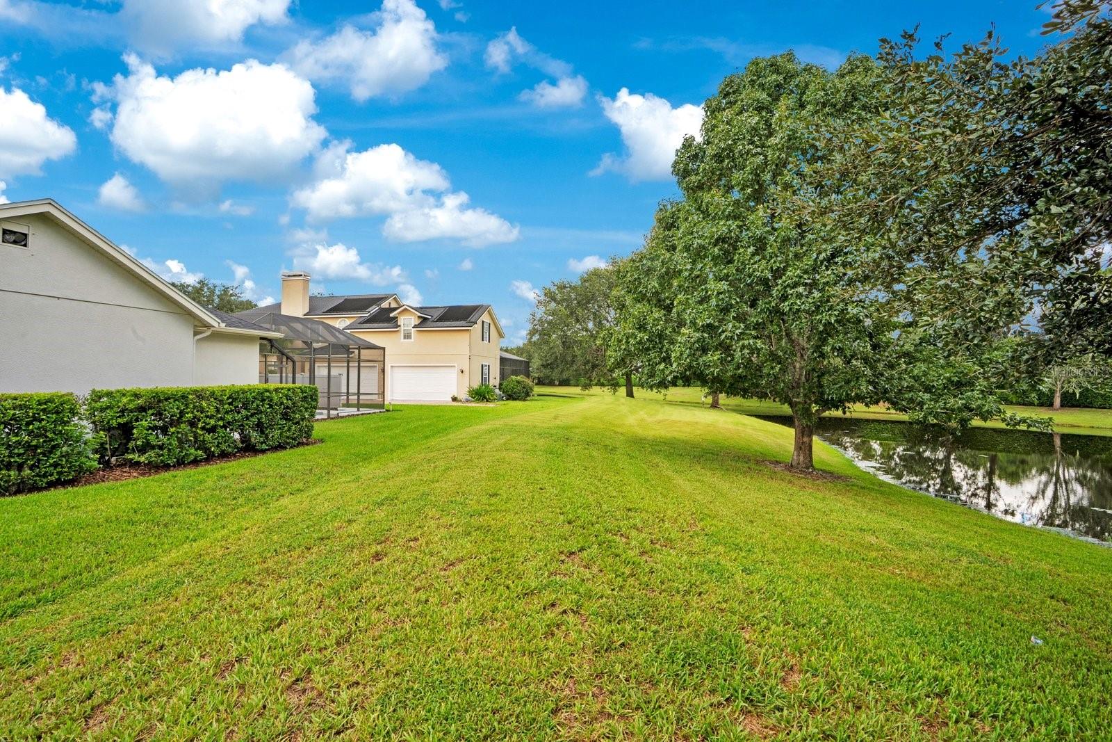9589 Pine Lily St Property Photo 84