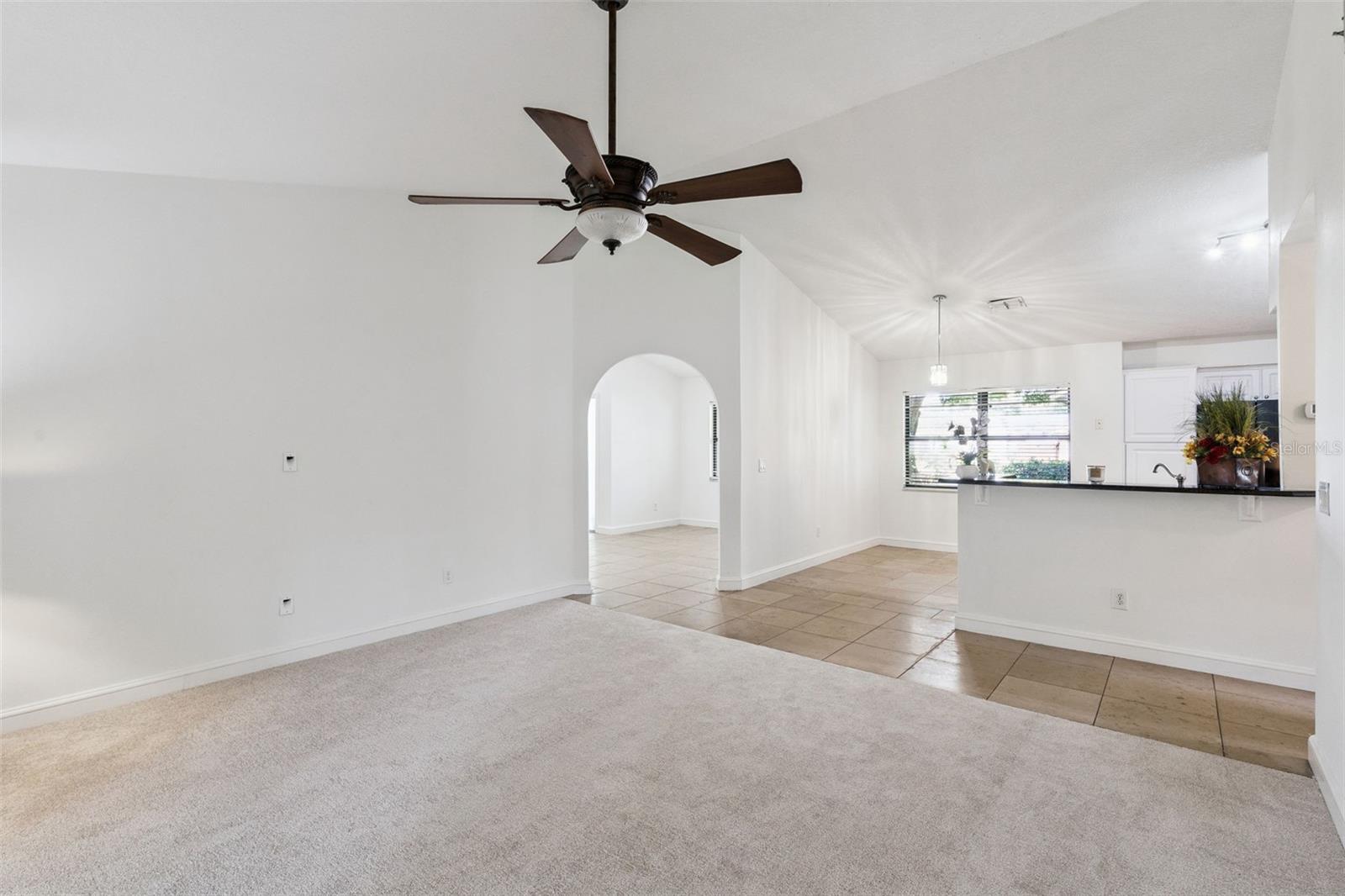 9433 Palm Tree Dr Property Photo 8