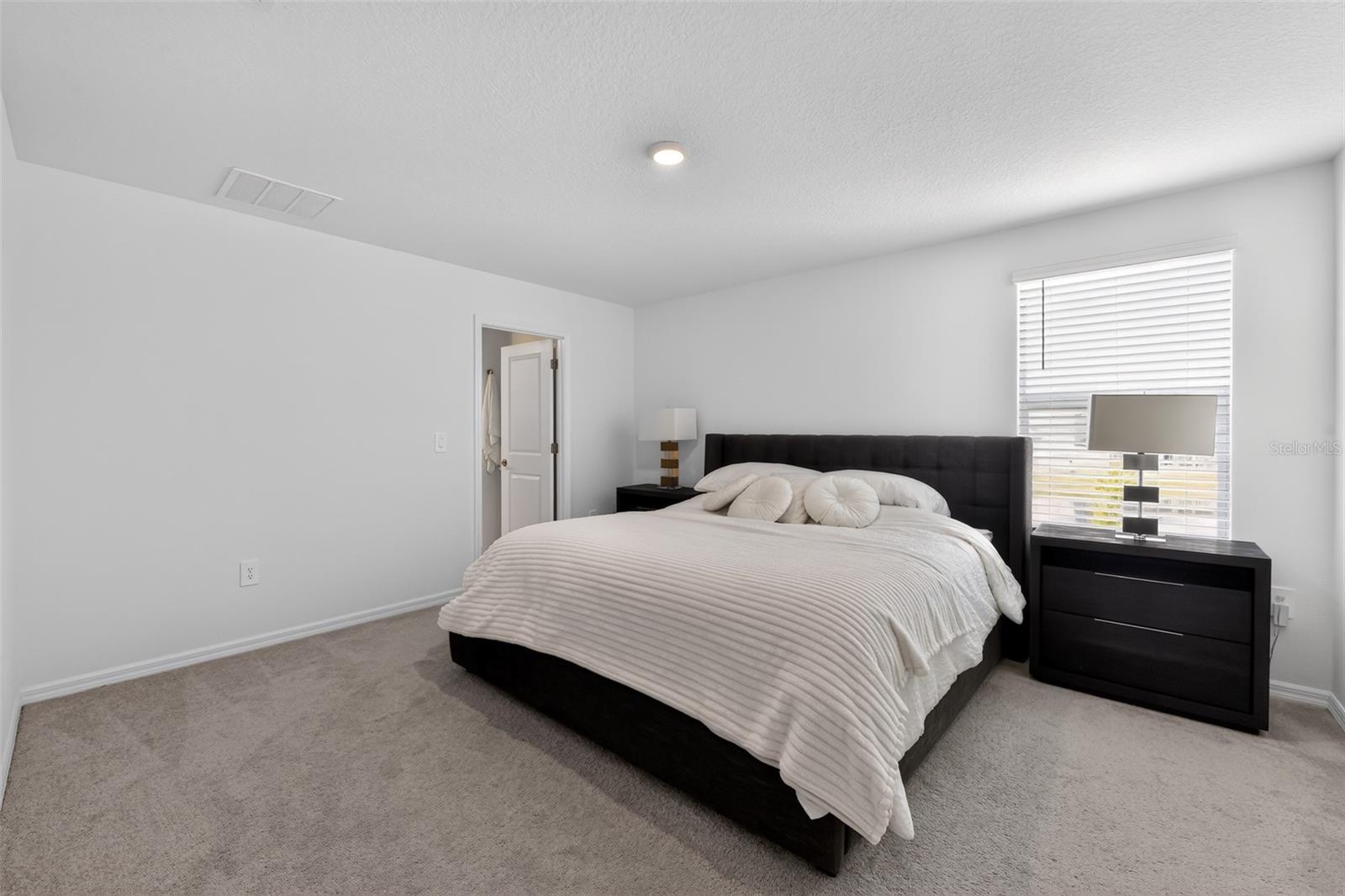 13065 Empress Jewel Trl Property Photo 13