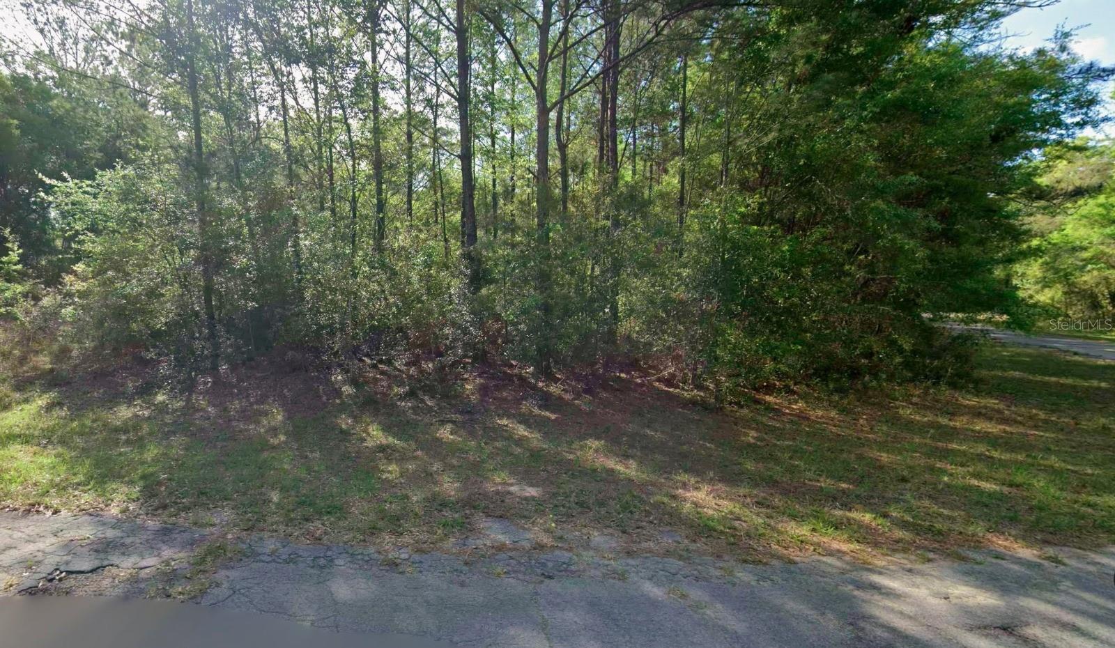 8961 N CONCH TER Property Photo 1