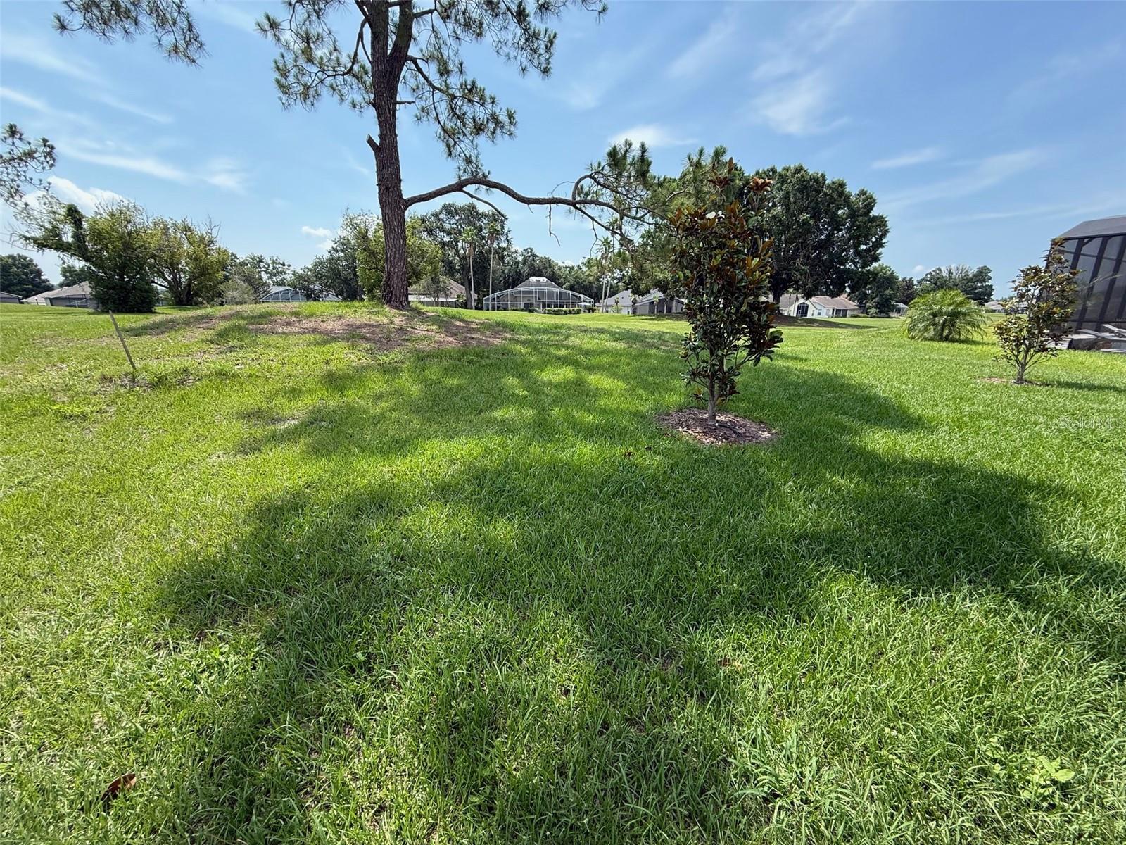 10073 Spring Lake Dr Property Photo 28