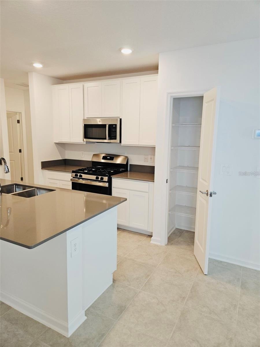 26220 Feathergrass Cir Property Photo 4