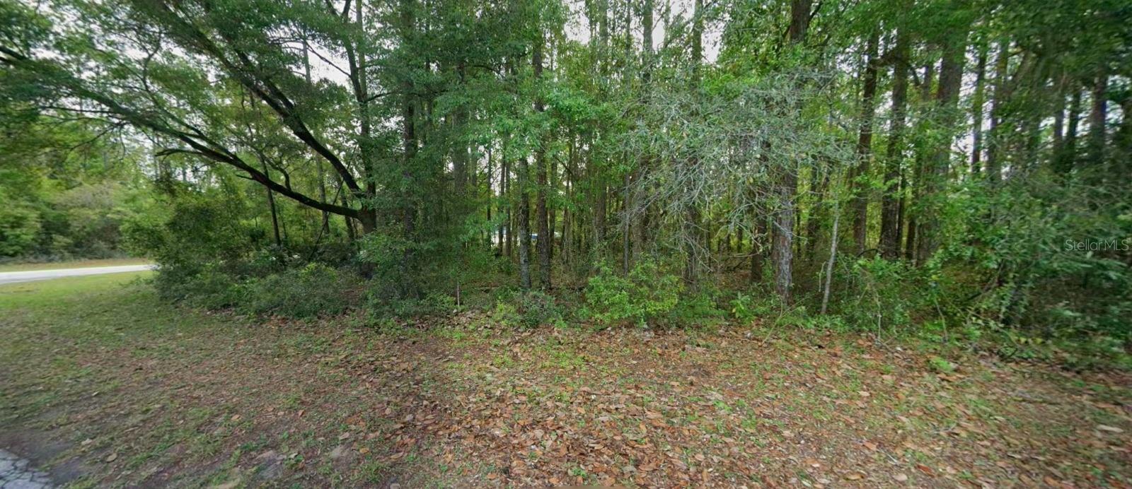 10181 N Gardner Way Property Photo 1