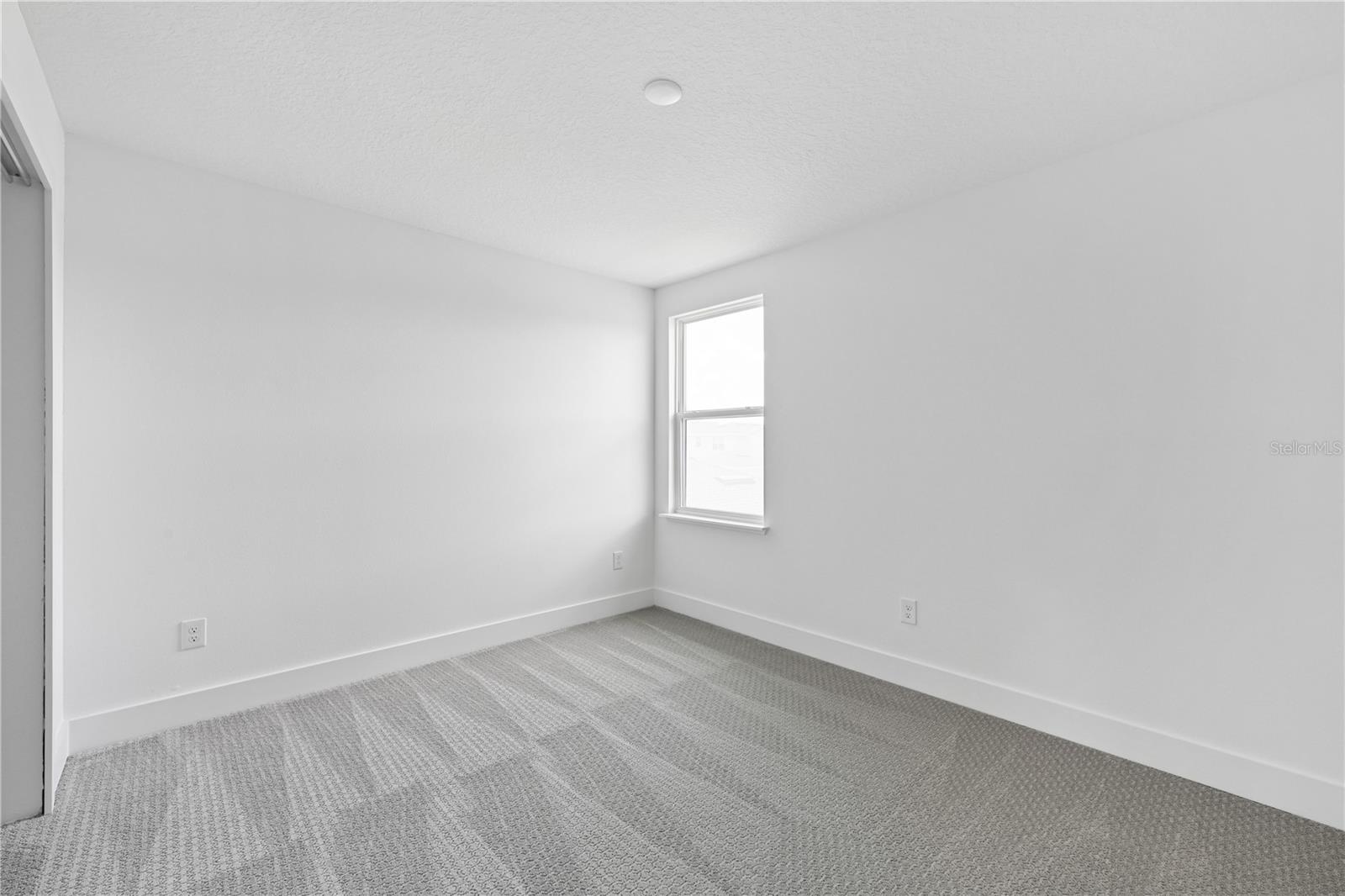 1582 Ridgeback Dr Property Photo 14