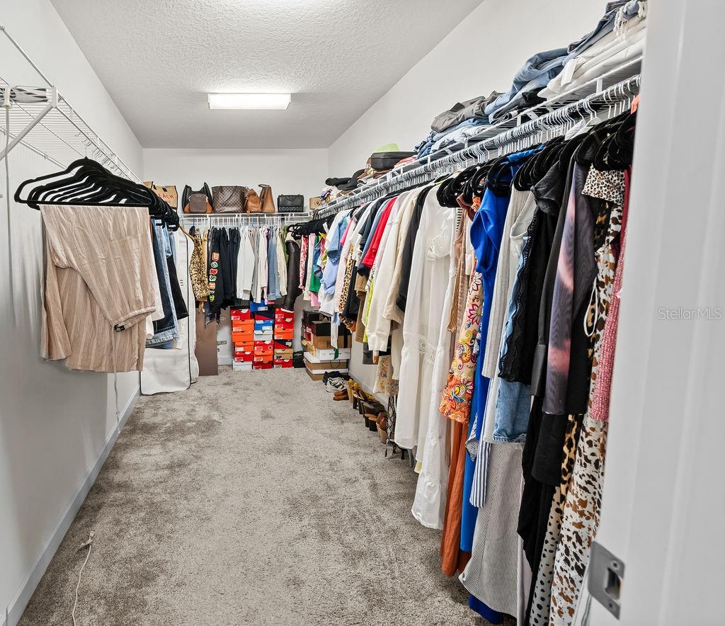 11546 Satire St Property Photo 23