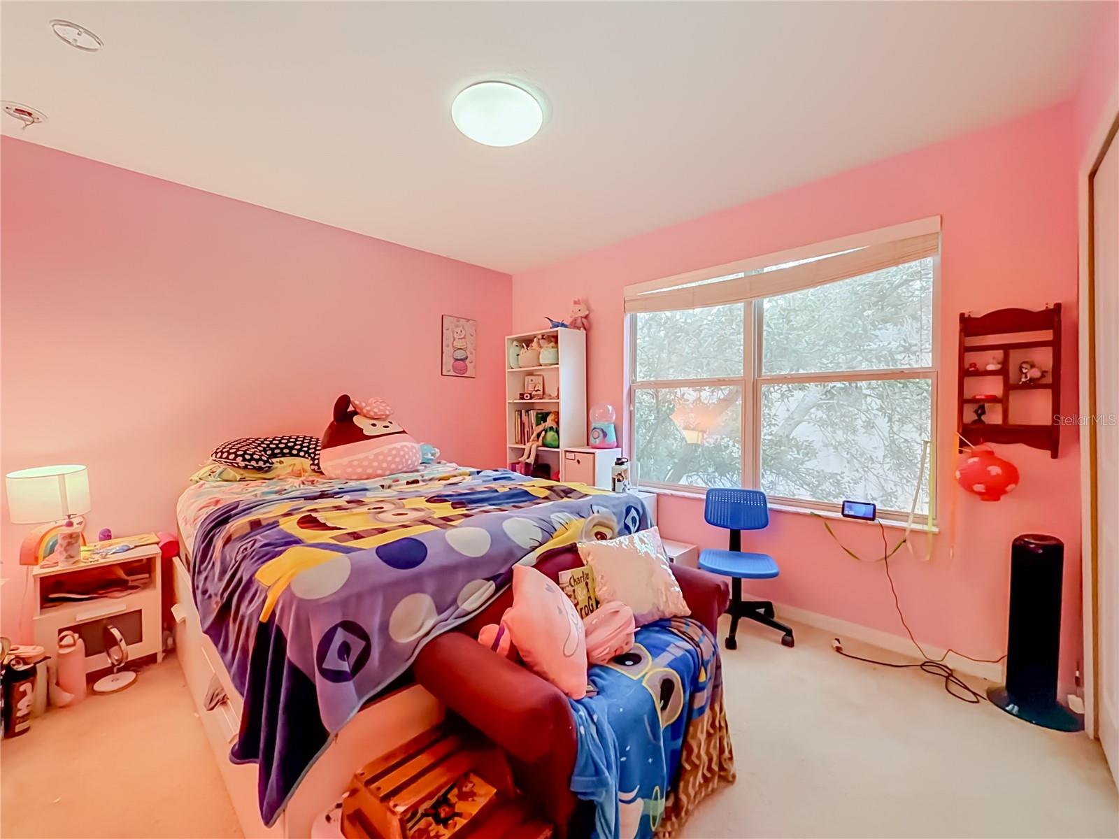 11913 Verrazano Dr Property Photo 19