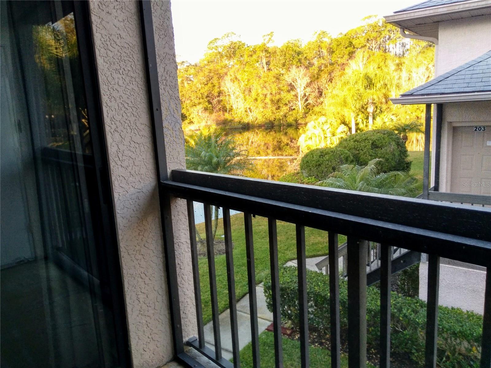 3366 Mermoor Dr #206 Property Photo 9