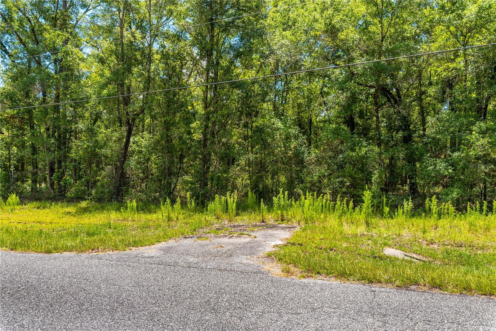 Lot 5 Sw Meadowlands Dr Property Photo 10