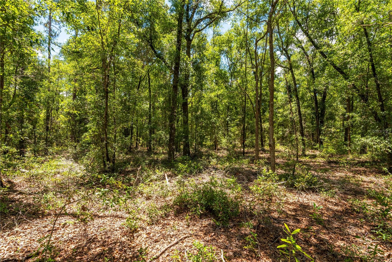 Lot 5 Sw Meadowlands Dr Property Photo 11