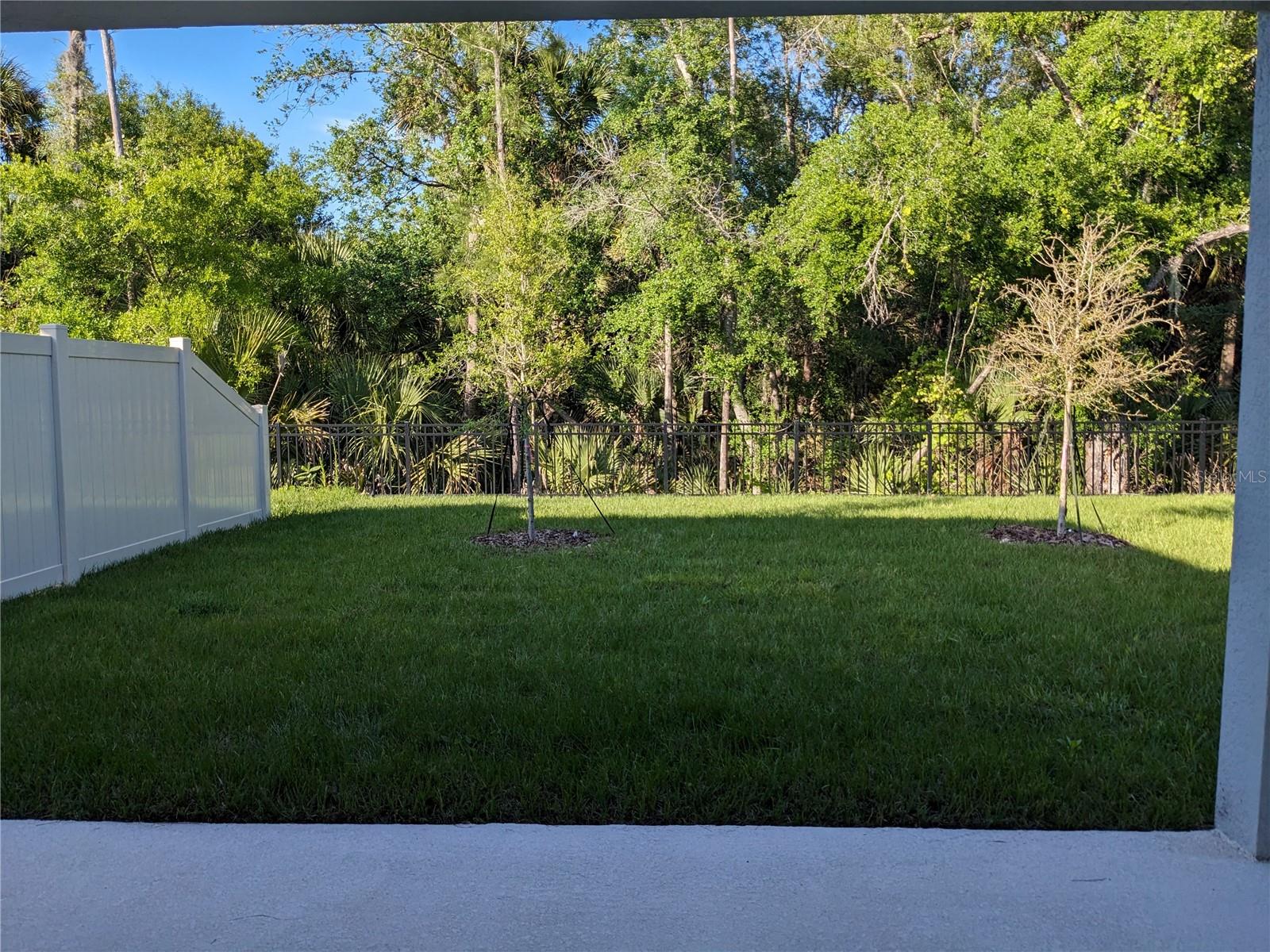 1113 Grand Hammock Ct Property Photo 16