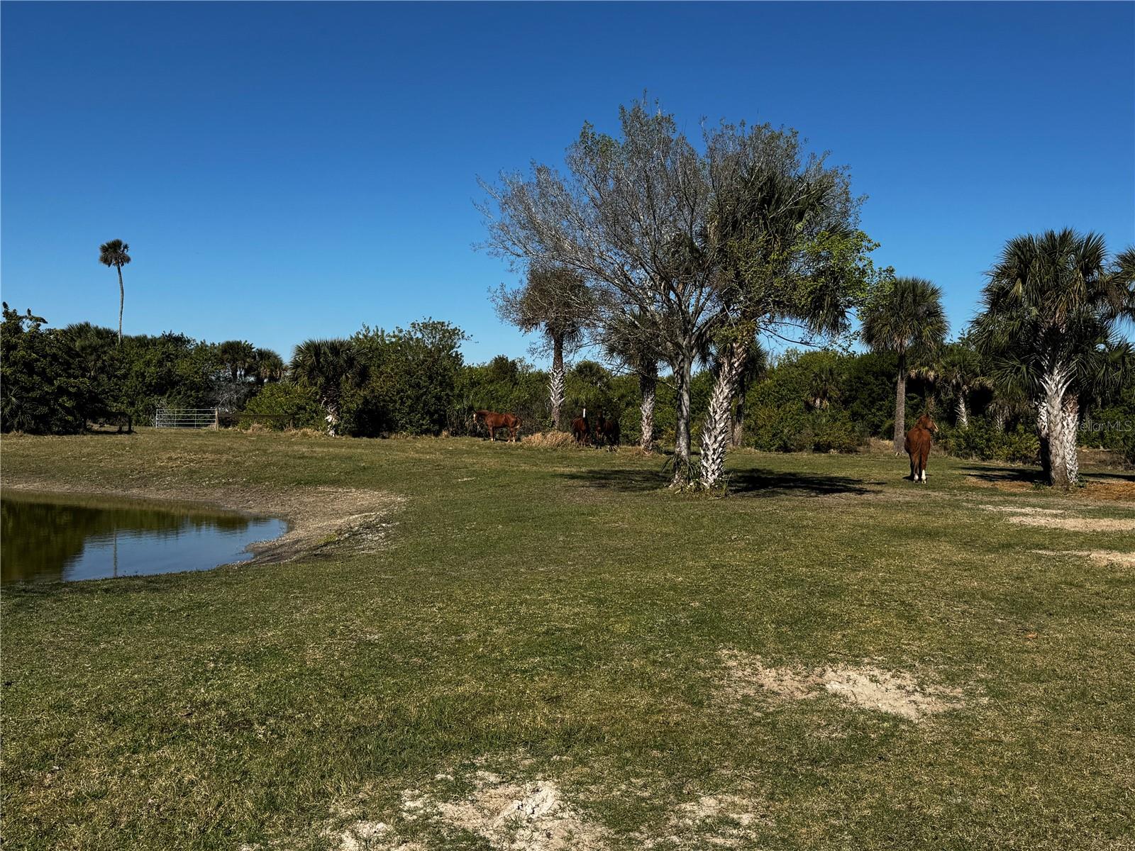 3100 Grantline Rd Property Photo 16