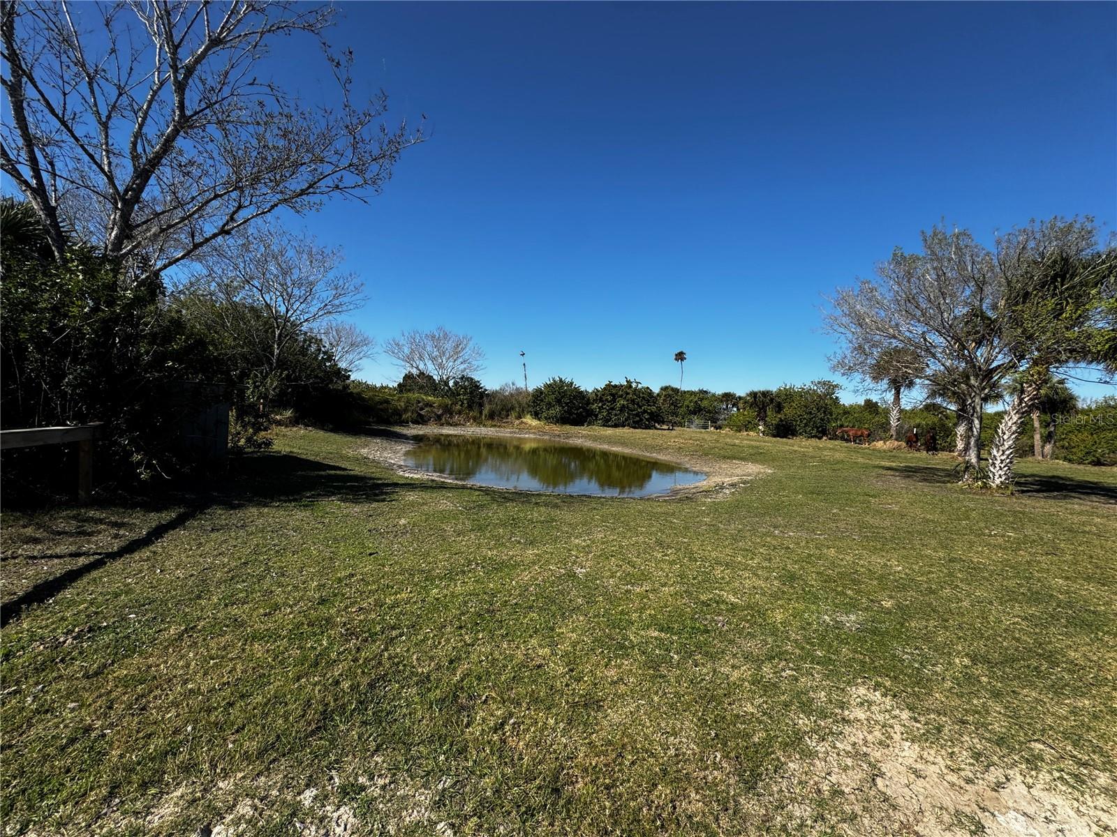 3100 Grantline Rd Property Photo 17