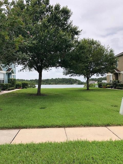 10923 Derringer Dr Property Photo 17