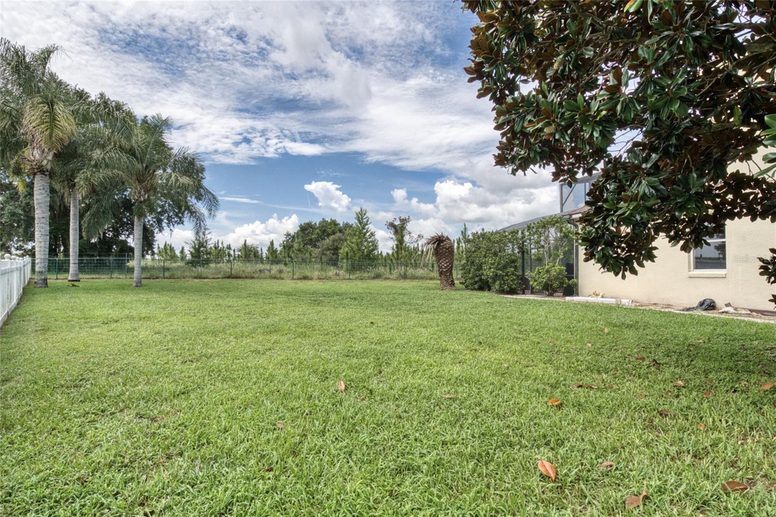 2924 Majestic Isle Dr Property Photo 55