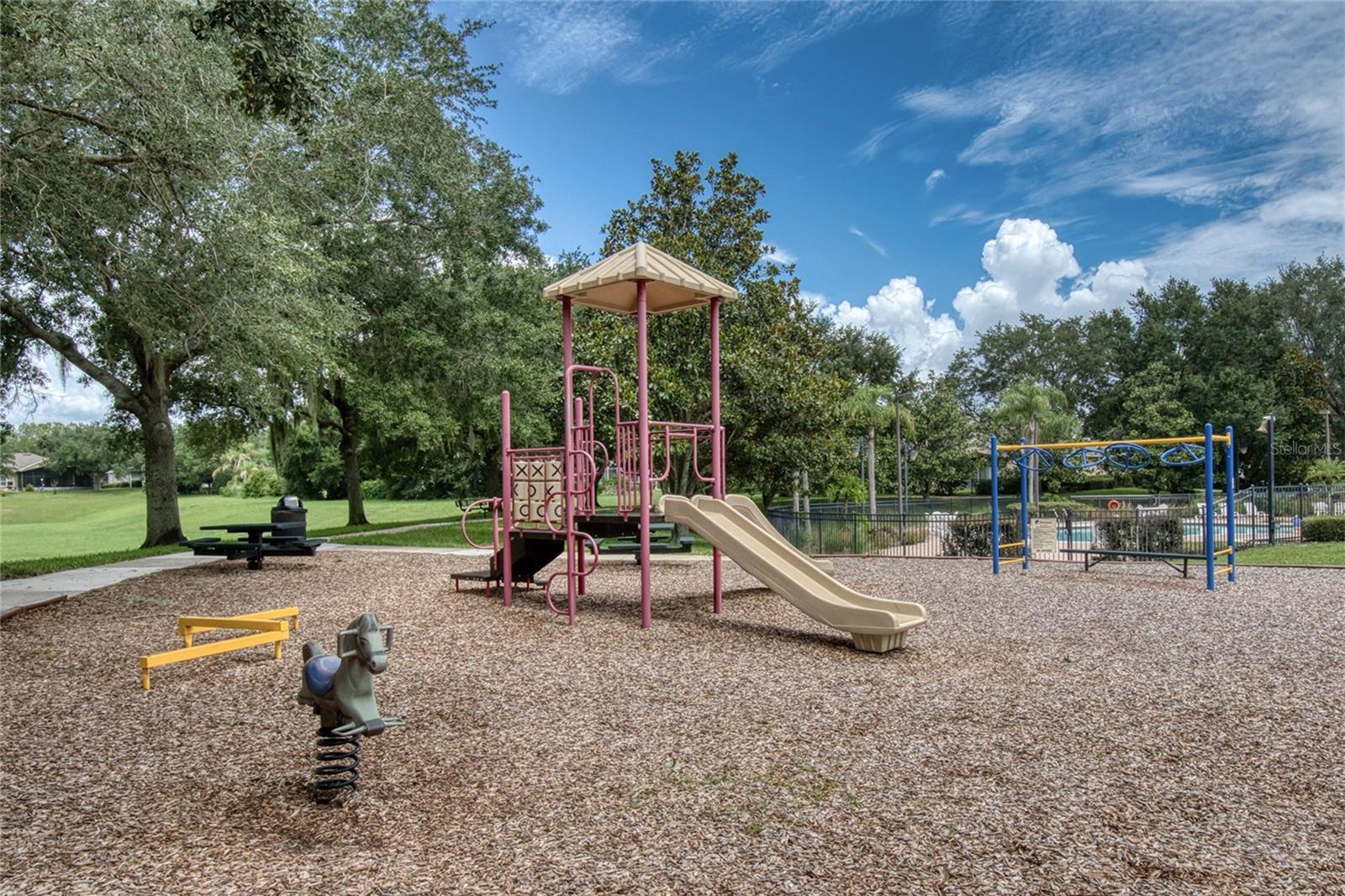 2924 Majestic Isle Dr Property Photo 59