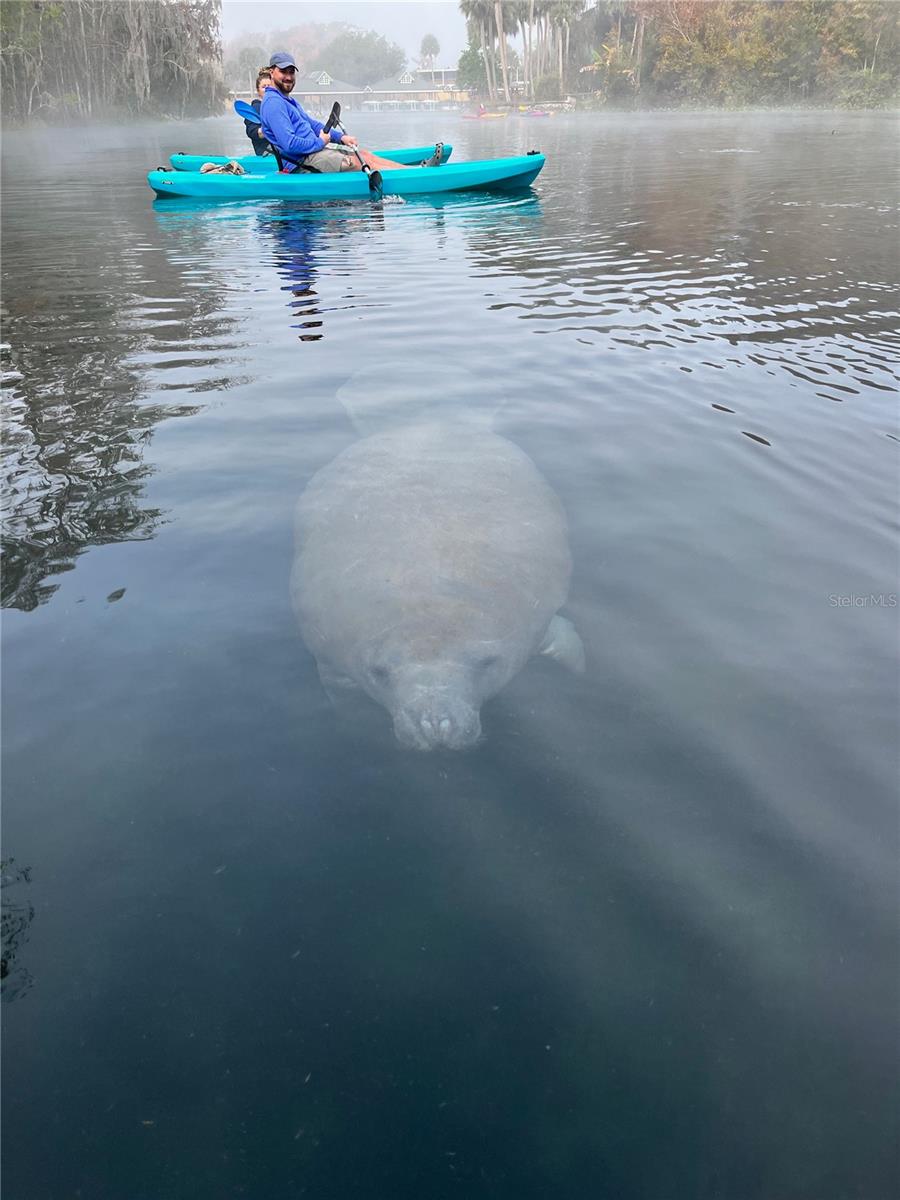 2856 Ne 104th Ave Property Photo 66