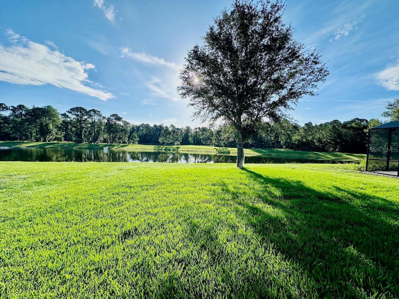 10726 Cabbage Tree Loop Property Photo 24