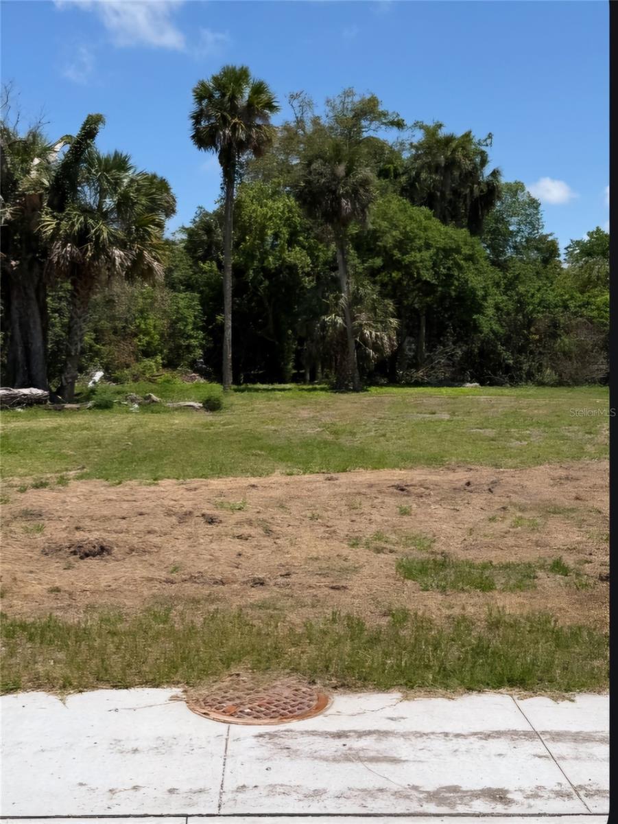 535 Oak St Property Photo 1
