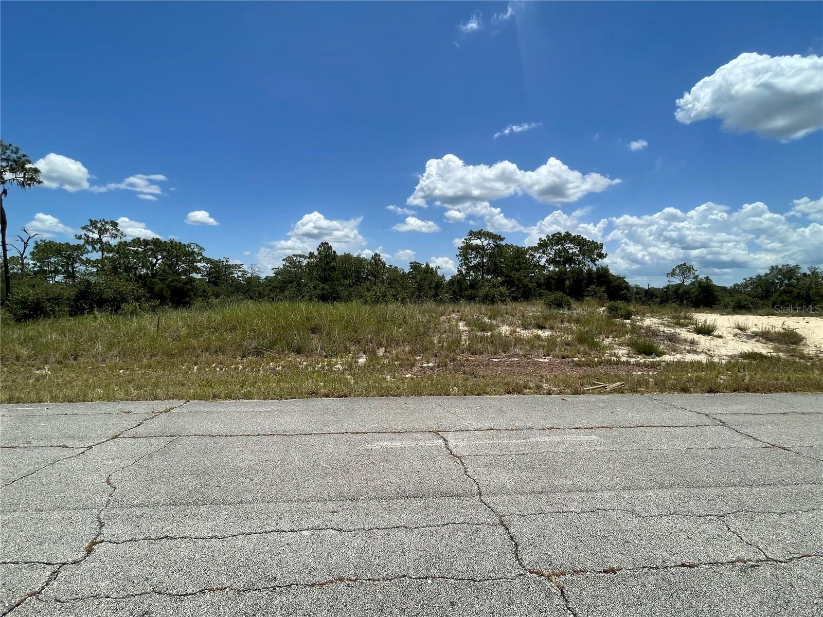 1342 Homosassa Ct Property Photo 1