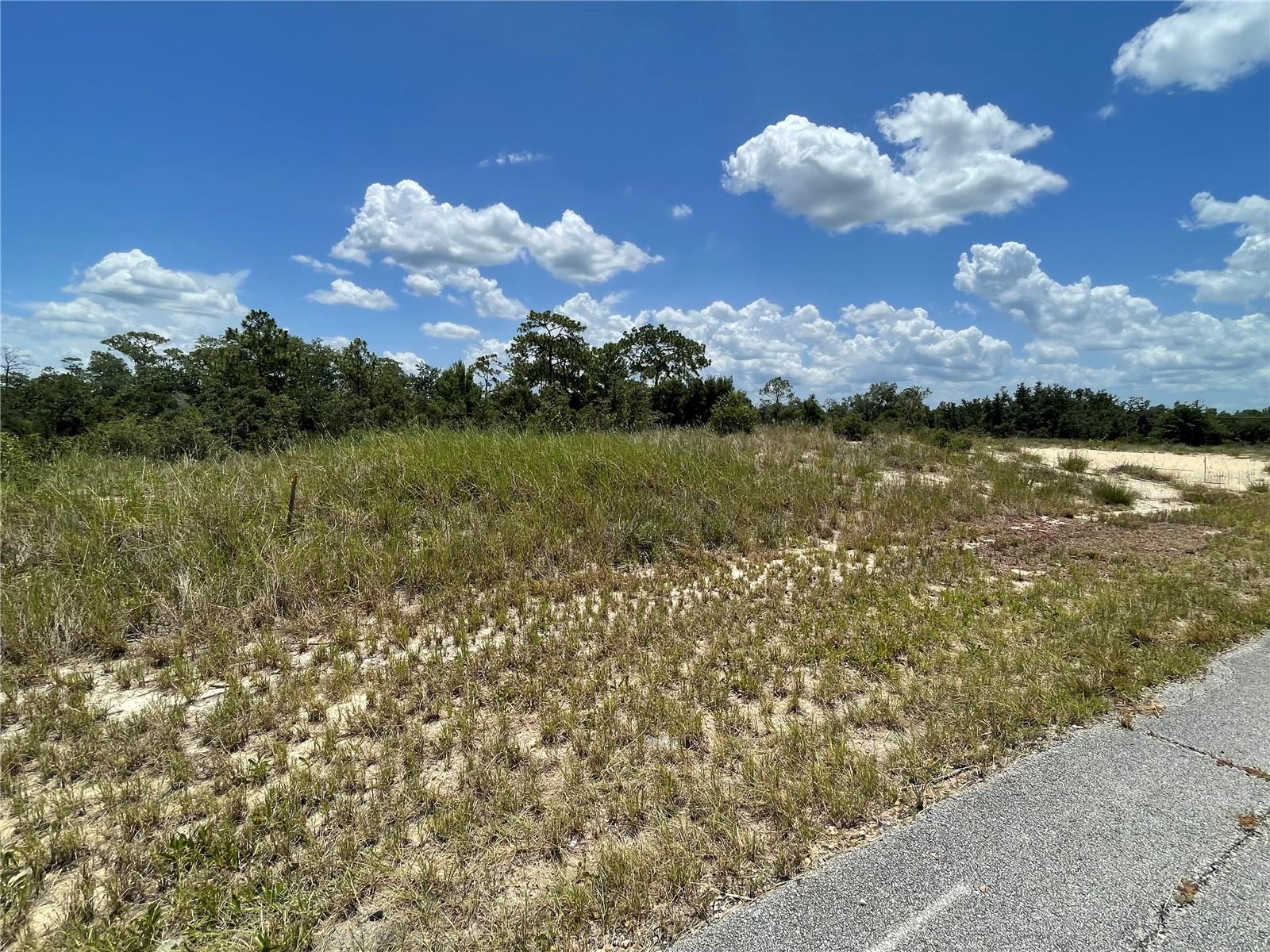 1342 Homosassa Ct Property Photo 2