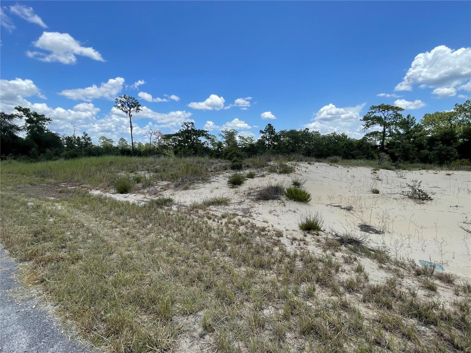 1342 Homosassa Ct Property Photo 3