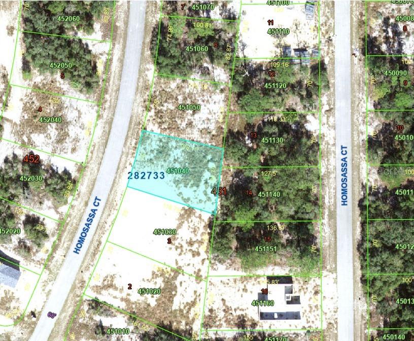 1342 Homosassa Ct Property Photo 6