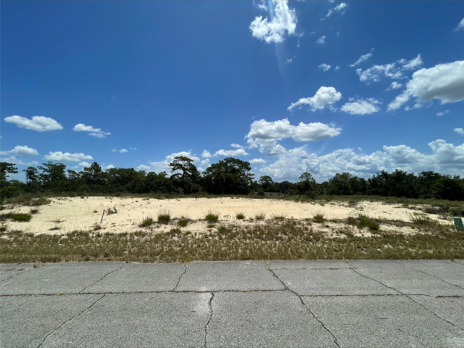 1344 HOMOSASSA CT Property Photo 1