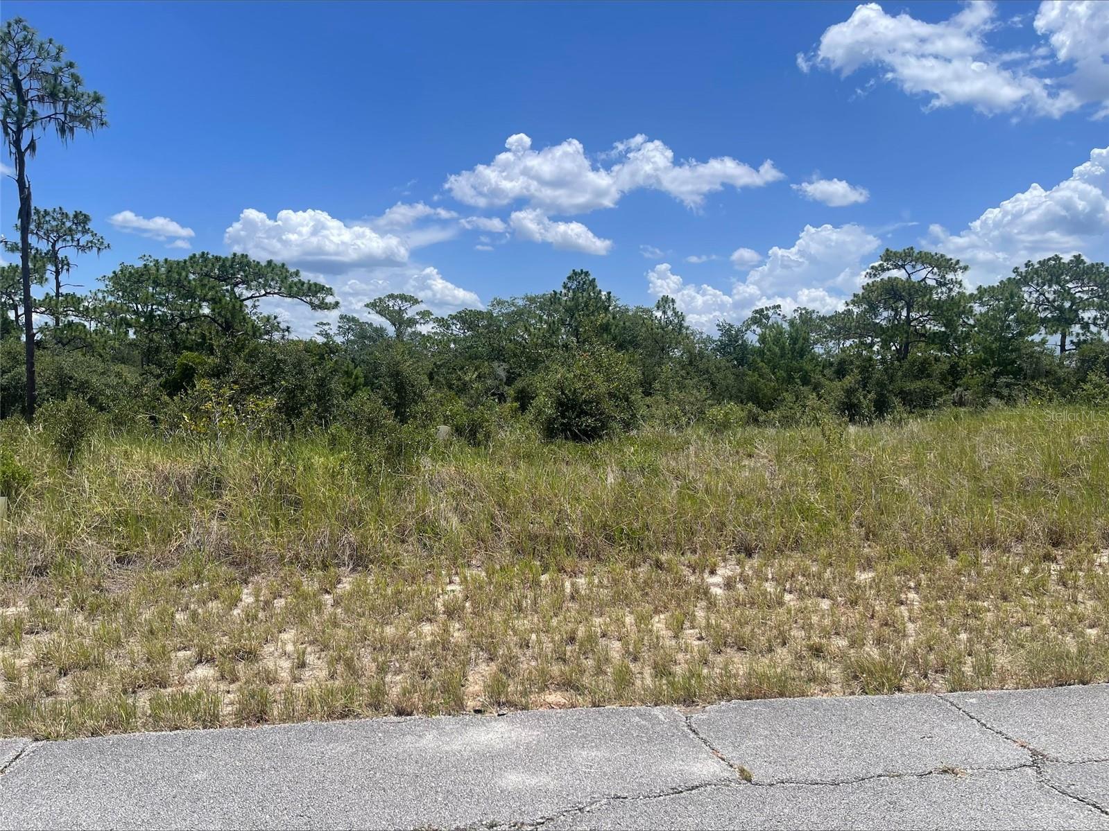 1340 HOMOSASSA CT Property Photo 1
