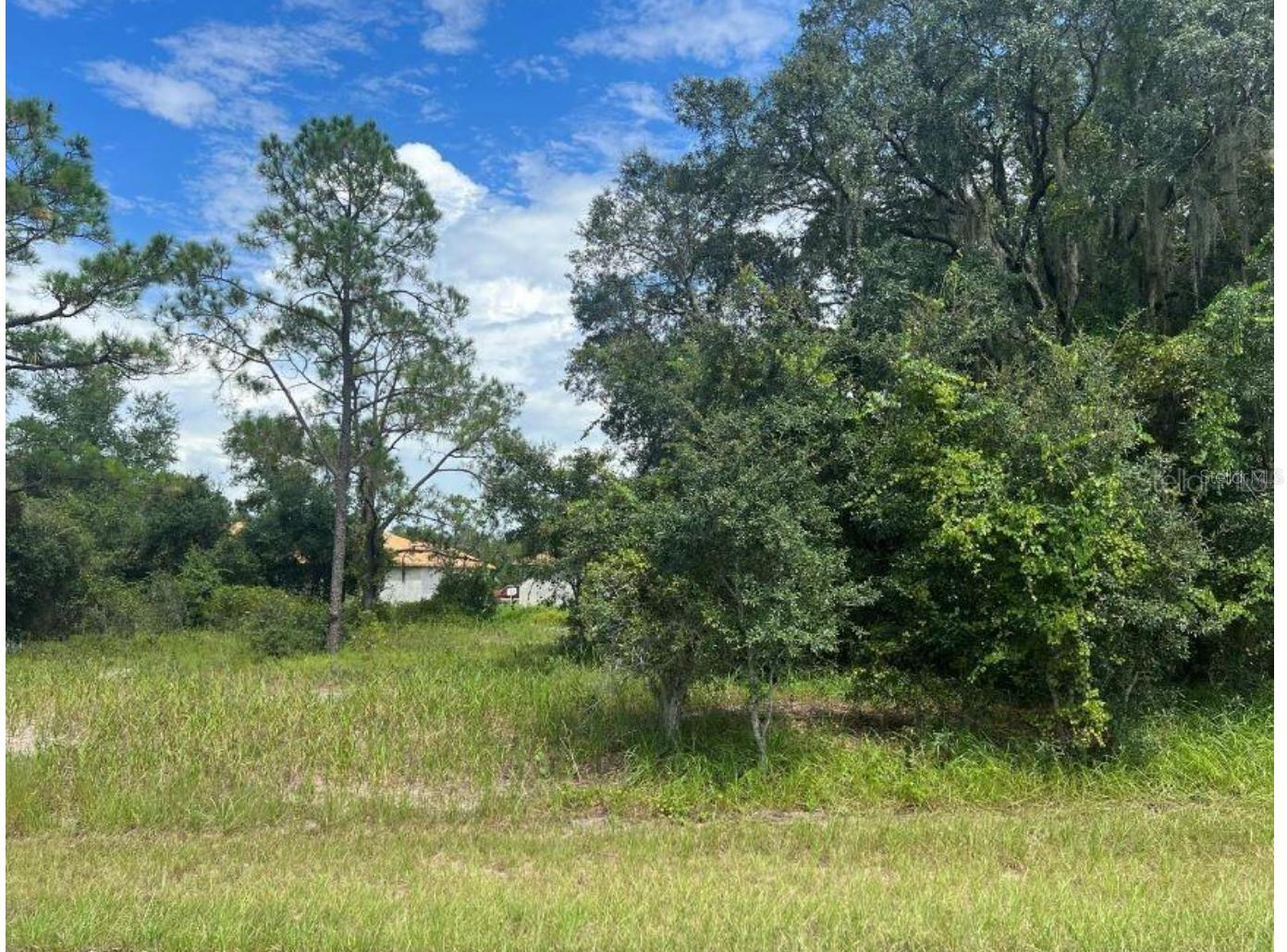 1336 Hillsborough Ct Property Photo 3