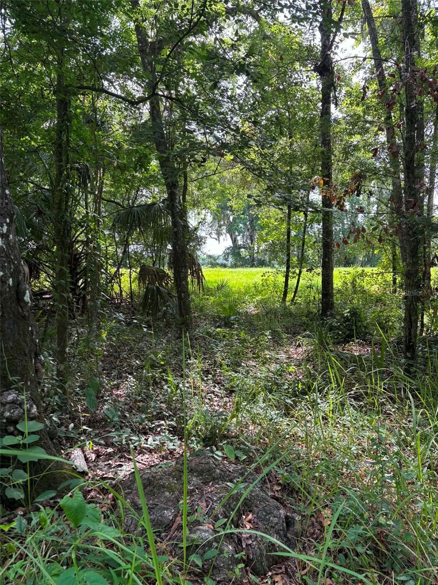 12168 Ponce De Leon Blvd Property Photo 1
