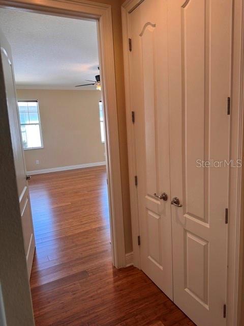 6803 Lockington Ct Property Photo 24