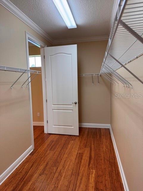 6803 Lockington Ct Property Photo 32