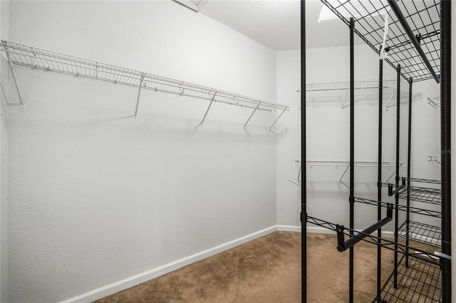 417 Hilgard Cv #. Property Photo 23