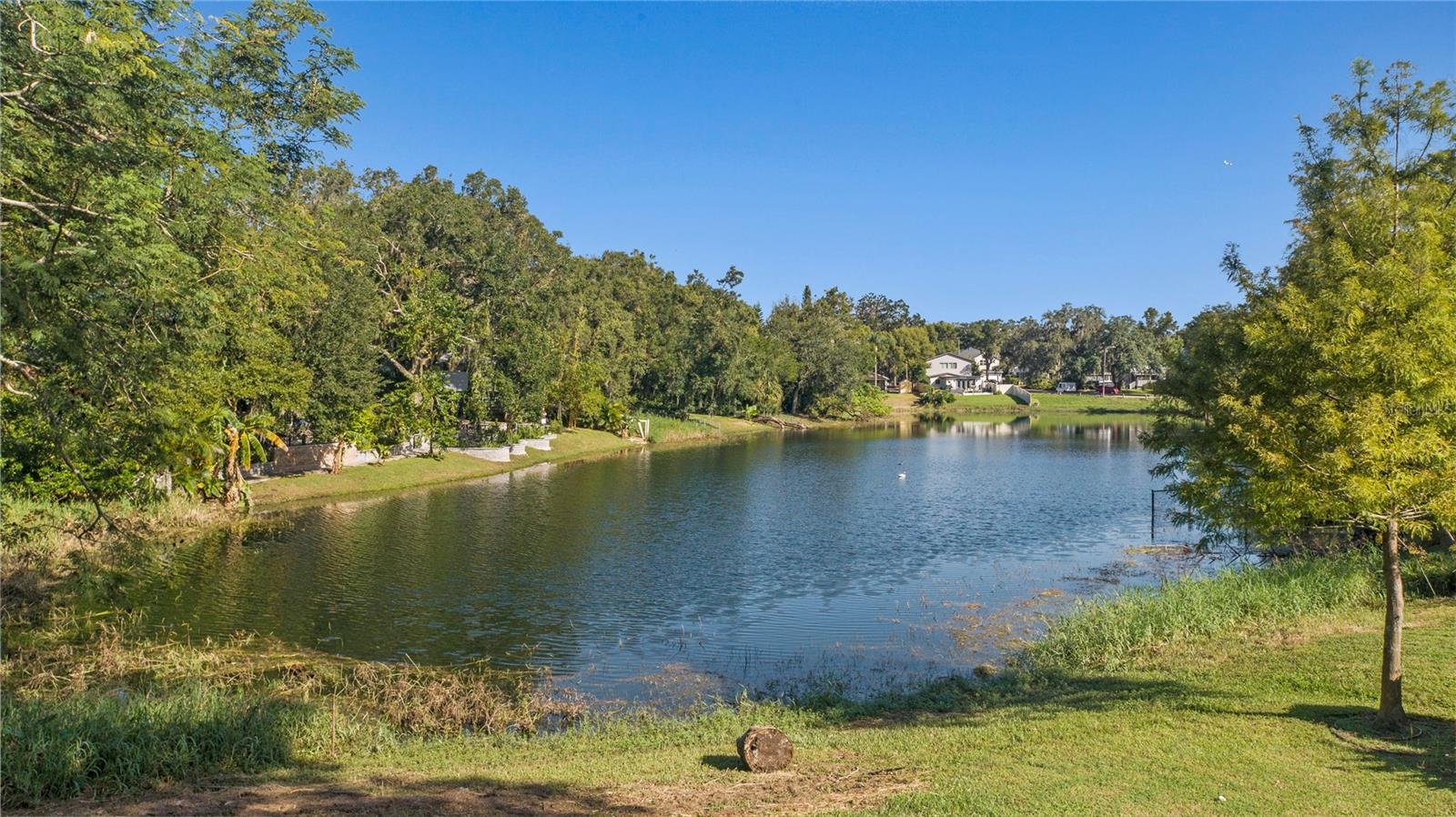 1215 Delaney Park Dr Property Photo 36