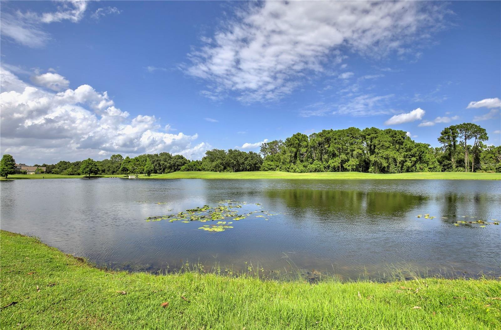 10822 Mobberley Cir Property Photo 49