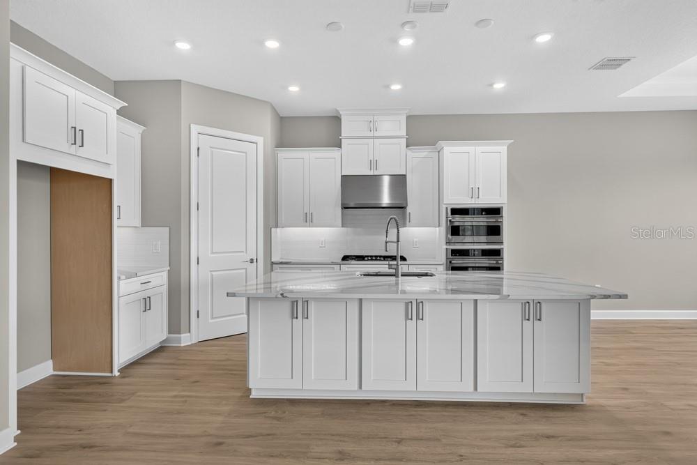 998 Tassleflower Trl Property Photo 2