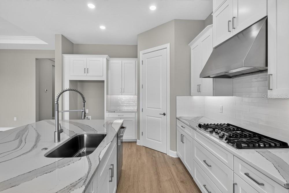 998 Tassleflower Trl Property Photo 7