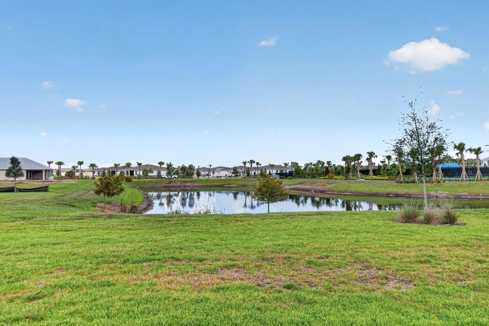 998 Tassleflower Trl Property Photo 37