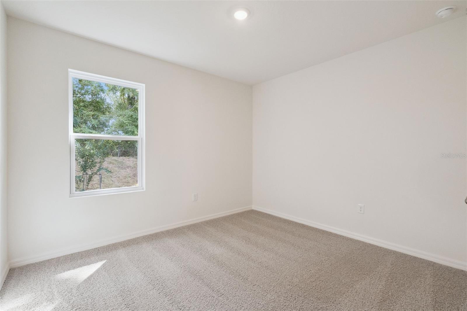 2509 Dorset Ct Property Photo 12