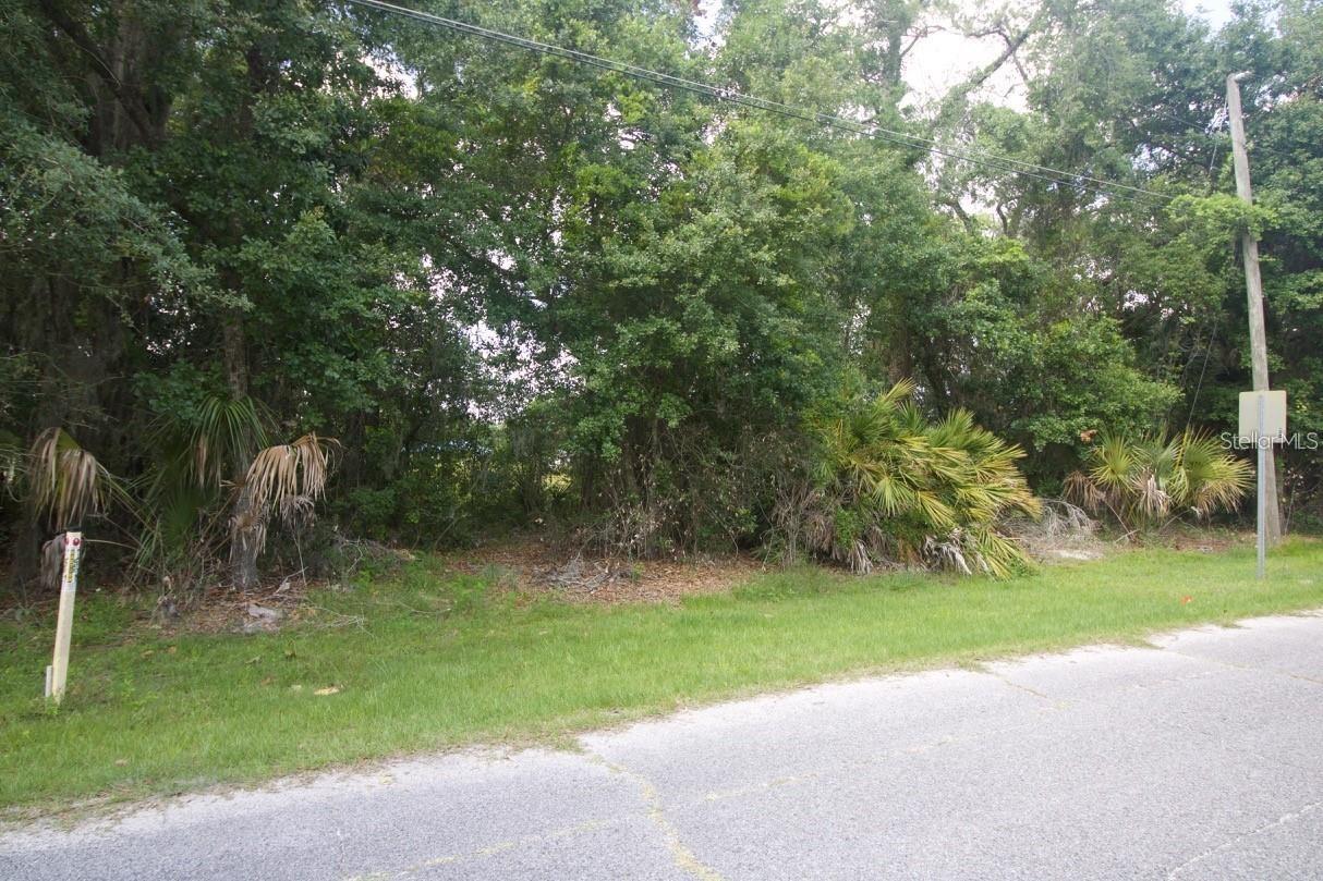 274 Toms Rd Property Photo 9