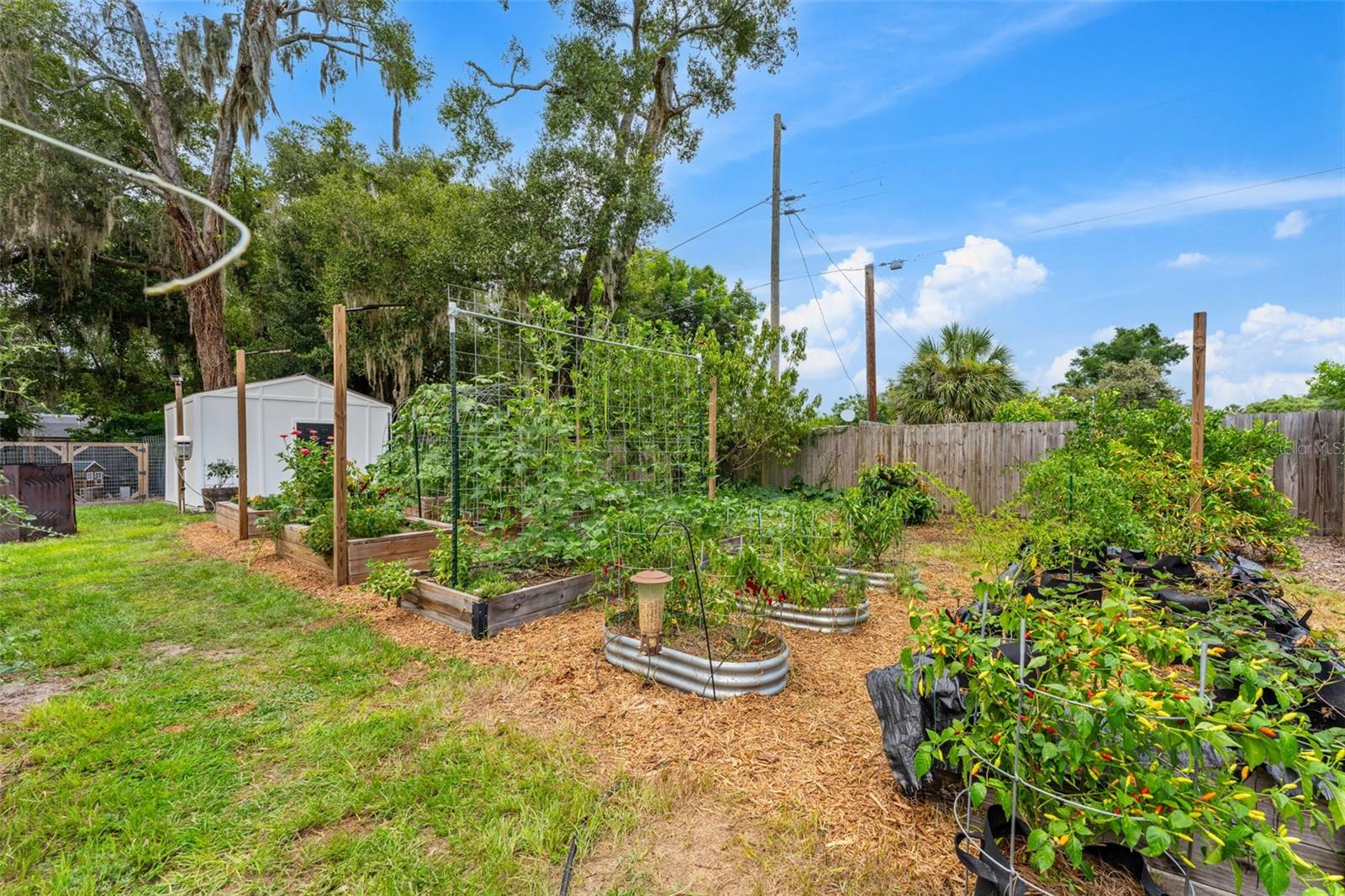 175 Grace Blvd Property Photo 35