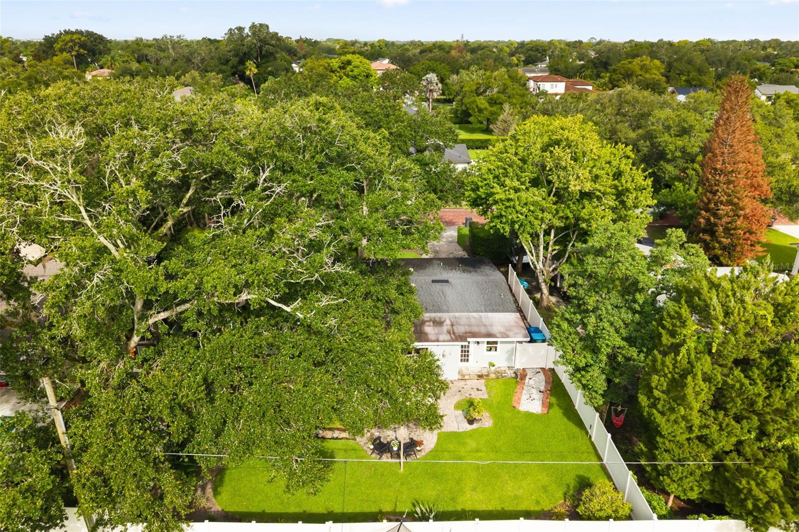 1562 Arbor Park Dr Property Photo 48