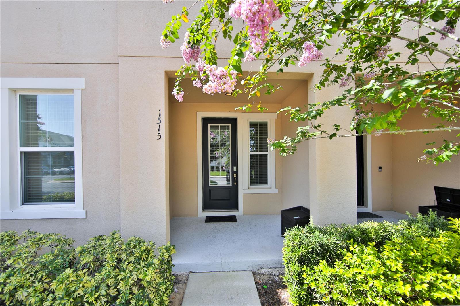 1515 CAREY PALM CIR Property Photo 1