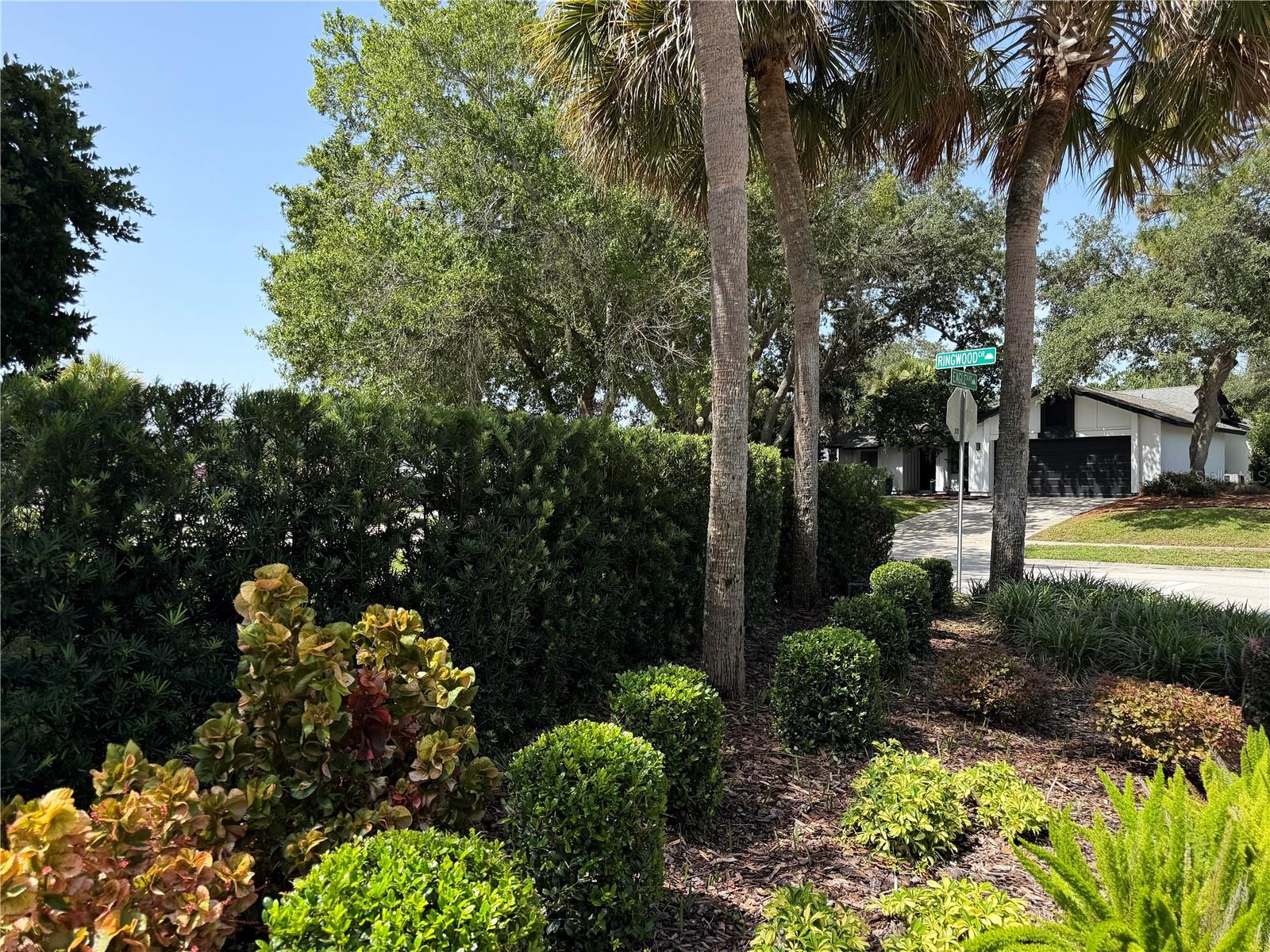 324 Ringwood Cir Property Photo 42