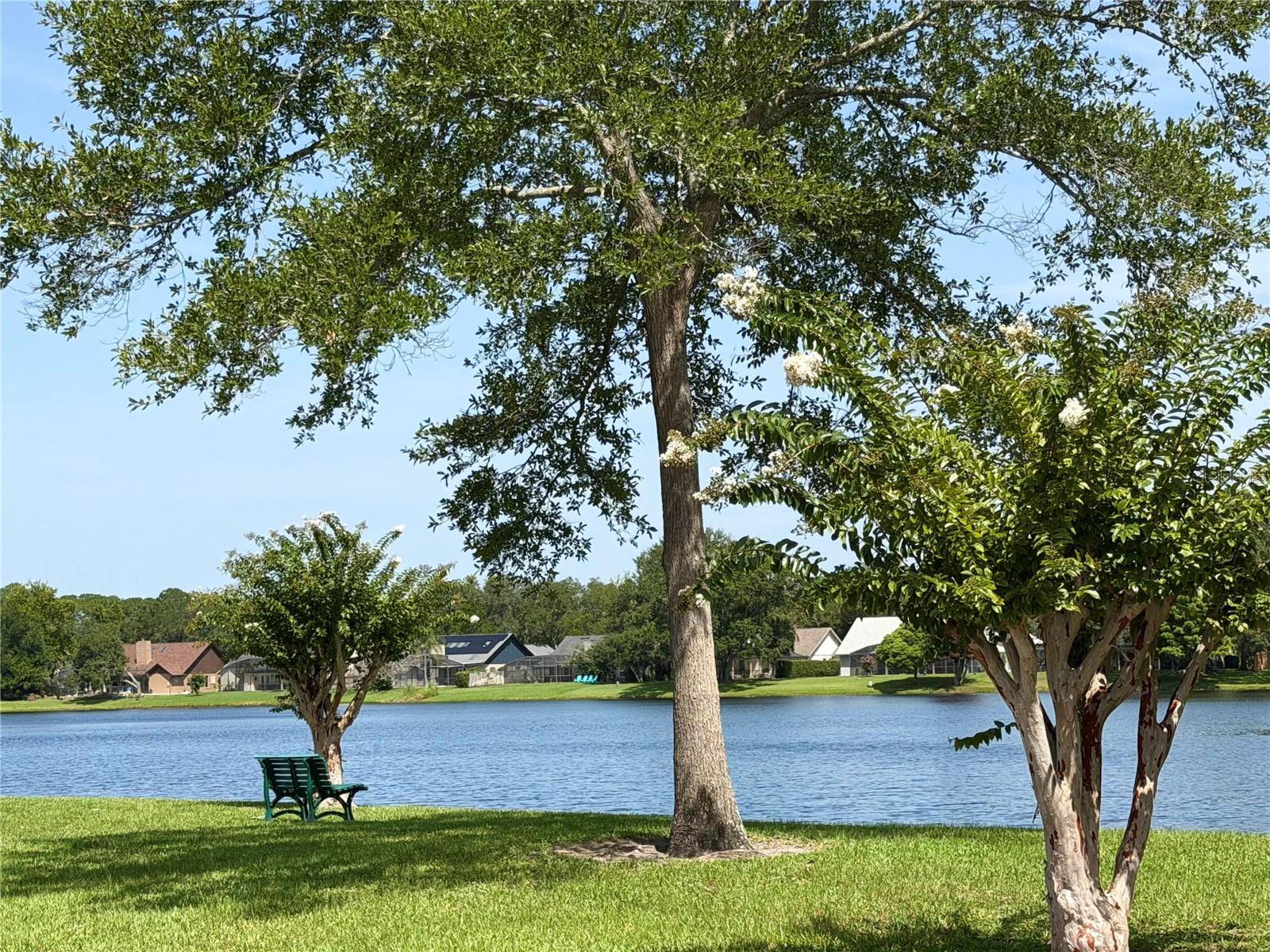 324 Ringwood Cir Property Photo 43