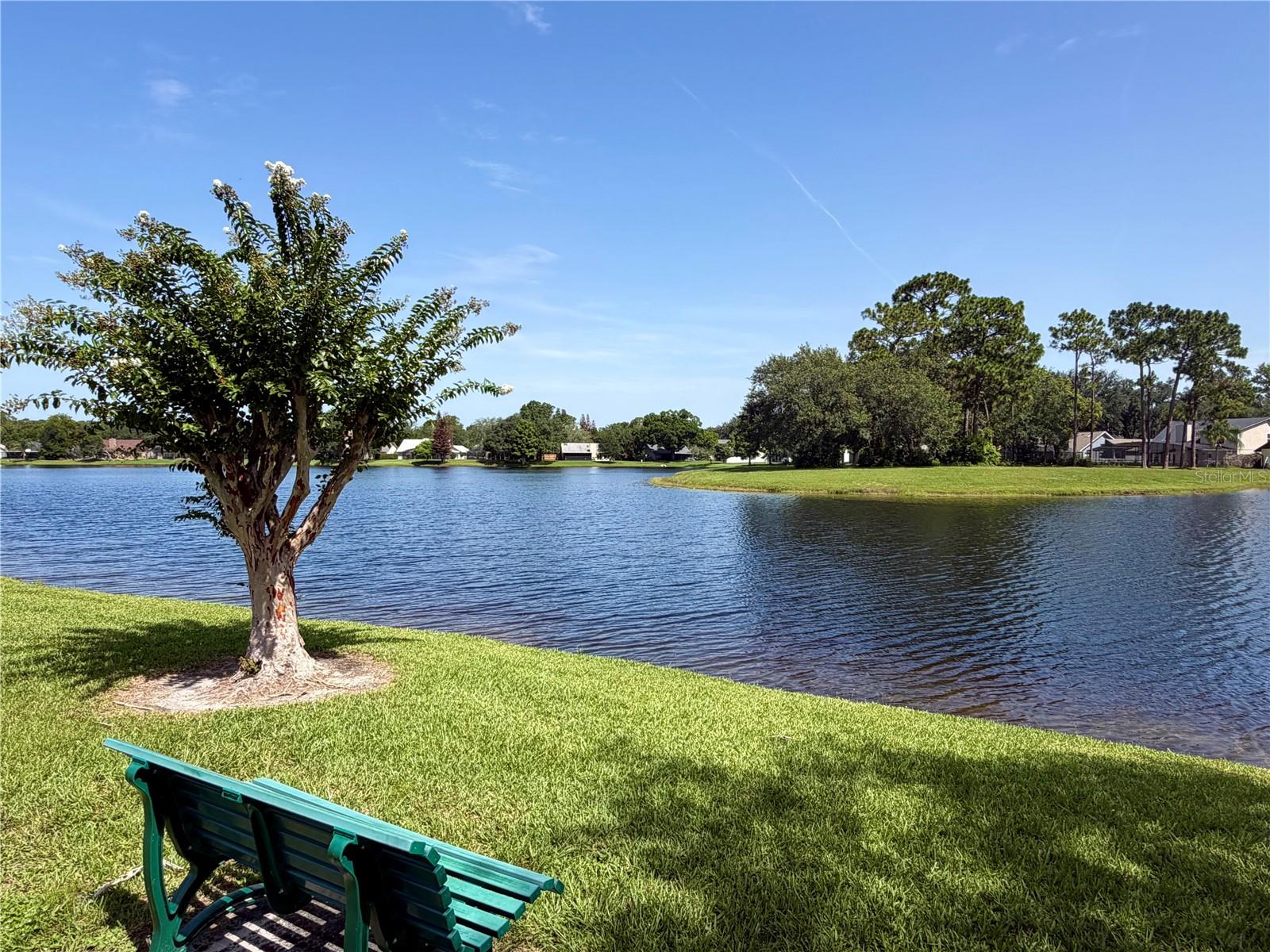 324 Ringwood Cir Property Photo 45