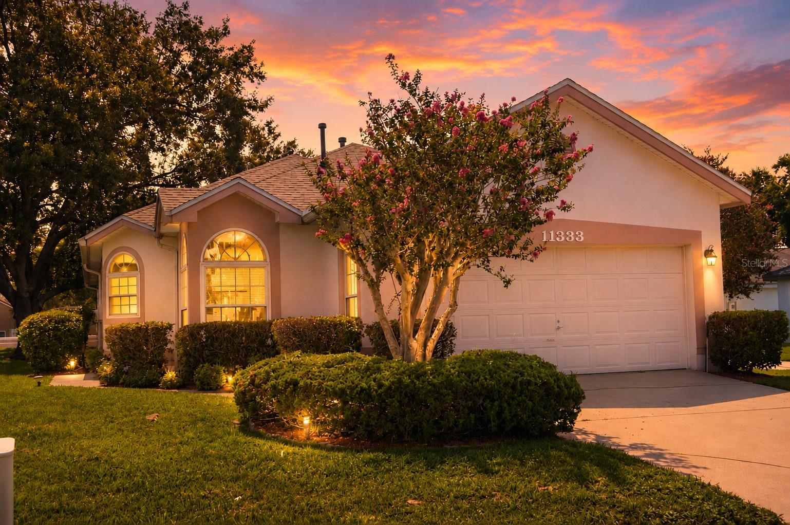 11333 Pink Blossom Ct Property Photo 2