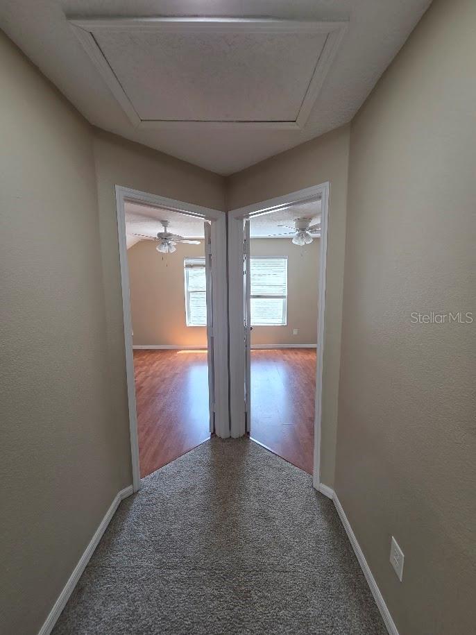4228 Boca Woods Dr Property Photo 28